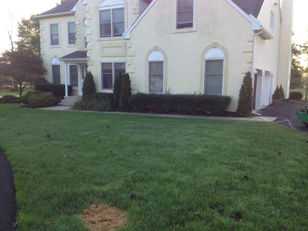 Walkway Installation