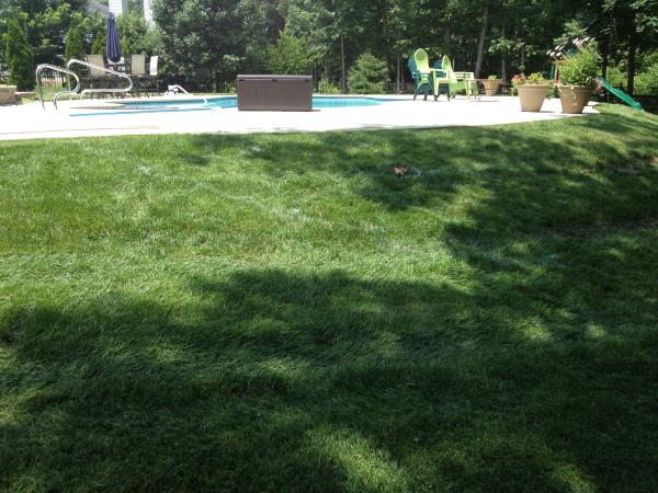 These photos are from the design and build of a boulder retaing wall and steps