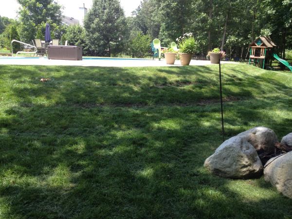 These photos are from the design and build of a boulder retaing wall and steps