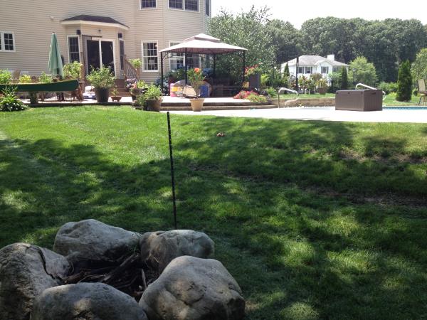 These photos are from the design and build of a boulder retaing wall and steps