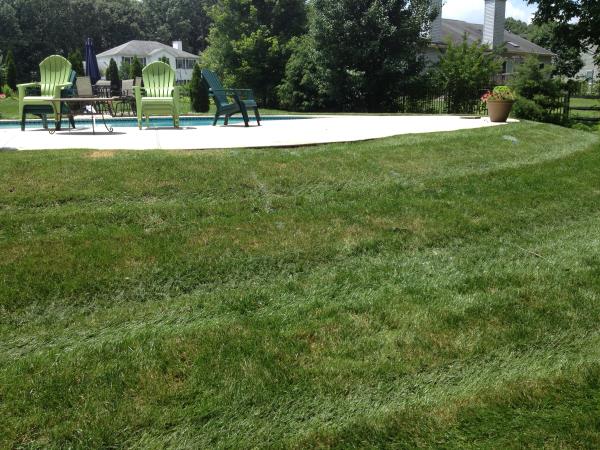 These photos are from the design and build of a boulder retaing wall and steps